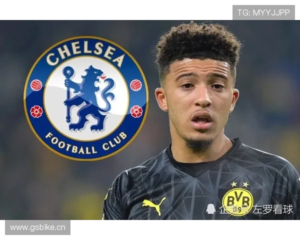 维特斯转会策略