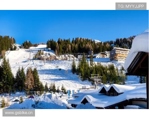 奥地利阿尔卑斯主场