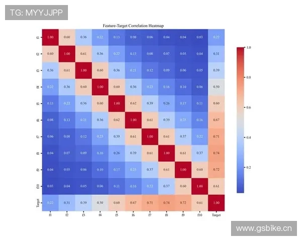 巴尔科拉战术价值与体系适配性分析